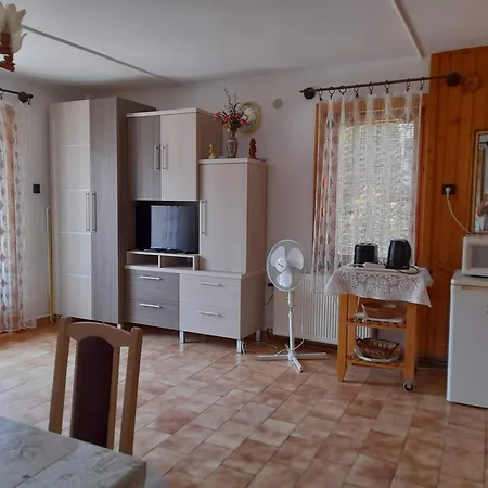 Harmonia Vendeghaz 100 Meterre Az Igali Gyogyfuerdotol Apartment Exterior foto