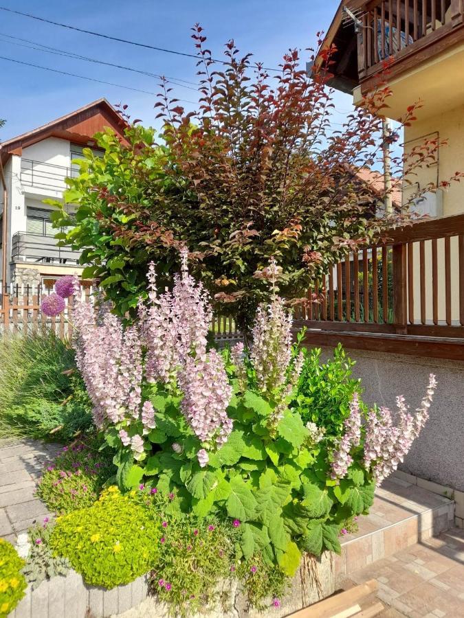 Harmonia Vendeghaz 100 Meterre Az Igali Gyogyfuerdotol Igal