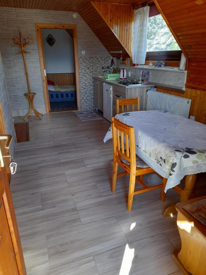 Apartment Harmonia Vendeghaz 100 Meterre Az Igali Gyogyfuerdotol