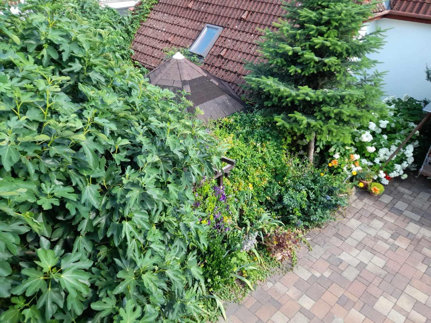 Harmonia Vendeghaz 100 Meterre Az Igali Gyogyfuerdotol Apartment Igal