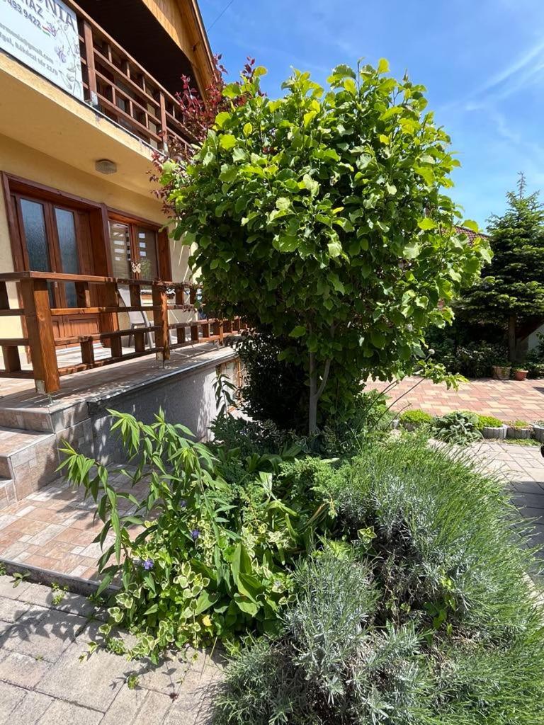 Apartment Harmonia Vendeghaz 100 Meterre Az Igali Gyogyfuerdotol Igal
